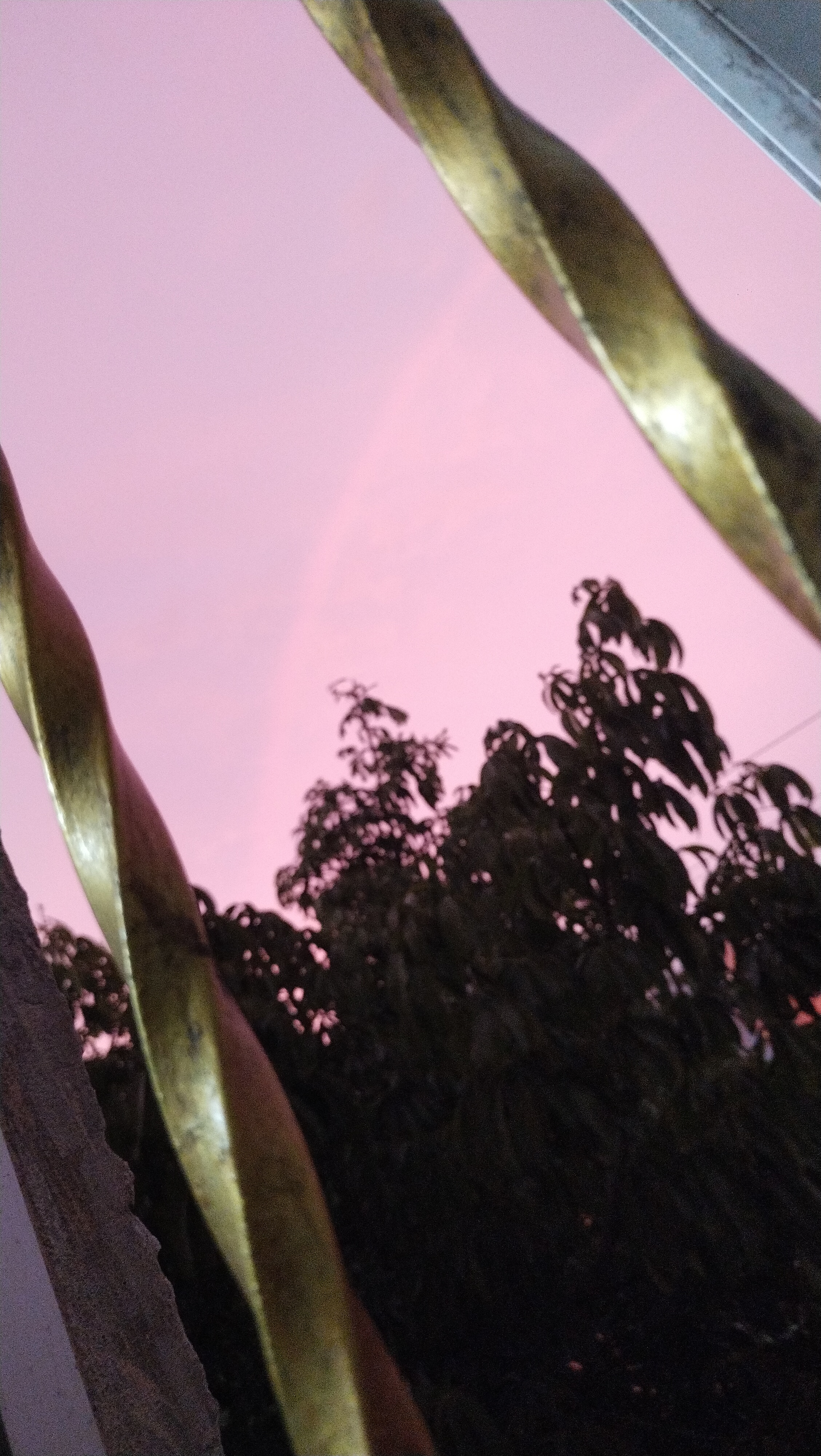 Imagen de la publicación 161